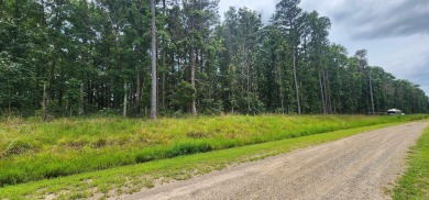 Lake Maumelle Acreage For Sale in Bigelow Arkansas