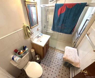 Beautifully updated two-family home in the Morris Park section - photo 17