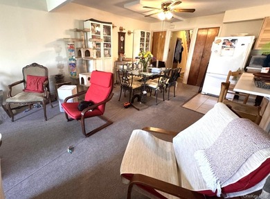 Beautifully updated two-family home in the Morris Park section - photo 18