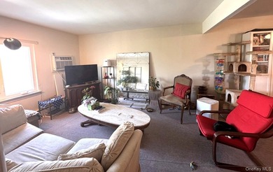 Beautifully updated two-family home in the Morris Park section - photo 20