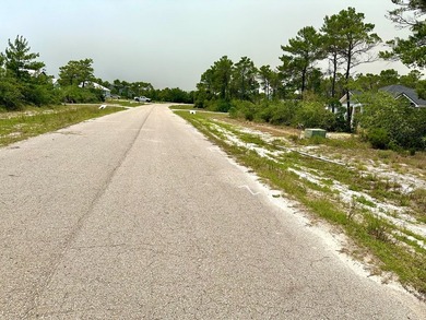 HOMESITE LOADING?.. 1-acre homesite available in Magnolia Ridge - photo 4