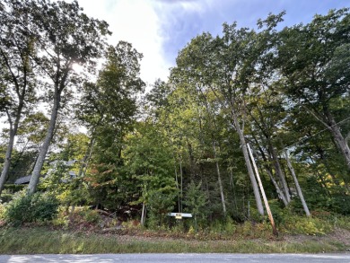 Lake Lot For Sale in Morris, Connecticut