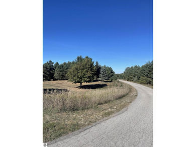 (private lake, pond, creek) Lot For Sale in Central Lake Michigan