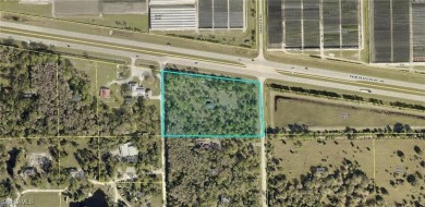 (private lake, pond, creek) Acreage For Sale in Alva Florida