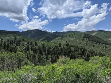 Deer Valley's most exclusive address in STEIN ERIKSEN ESTATES - photo 21