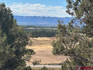 McPhee Reservoir Lot For Sale in Dolores Colorado
