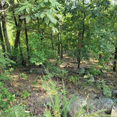 Lake Eufaula Lot For Sale in Stigler Oklahoma