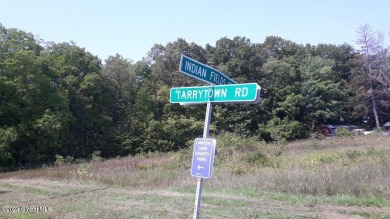 (private lake, pond, creek) Acreage For Sale in Feura Bush New York