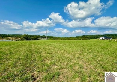  Acreage For Sale in Smithland Kentucky