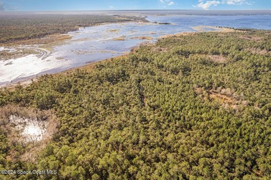 PRICE REDUCED, MOTIVATED SELLER! Seize a once-in-a-lifetime - photo 5
