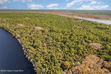 PRICE REDUCED, MOTIVATED SELLER! Seize a once-in-a-lifetime - photo 6