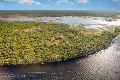 PRICE REDUCED, MOTIVATED SELLER! Seize a once-in-a-lifetime - photo 7