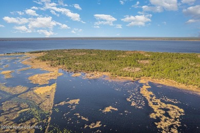 PRICE REDUCED, MOTIVATED SELLER! Seize a once-in-a-lifetime - photo 10