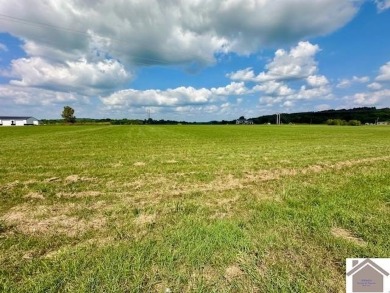  Acreage For Sale in Smithland Kentucky