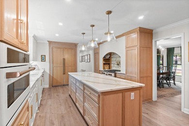 Welcome to this beautifully remodeled modern European home - photo 8