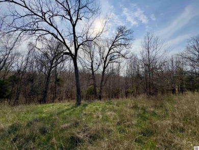  Lot For Sale in Cadiz Kentucky