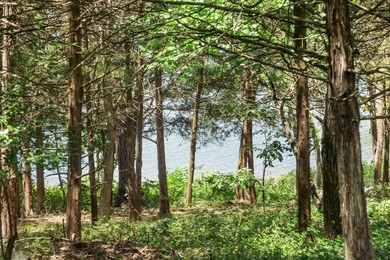 Where does luxury meet lake life? Right here, in a beautifully - photo 4