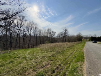  Acreage For Sale in Cadiz Kentucky