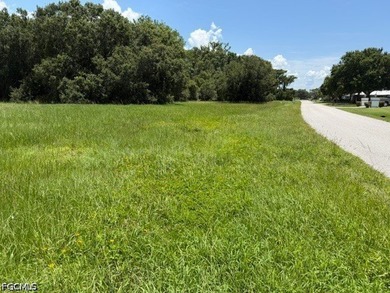 This is your opportunity to purchase a nice lot across from a - photo 4