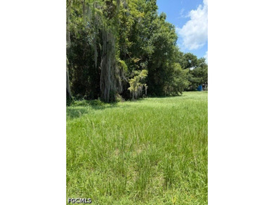 This is your opportunity to purchase a nice lot across from a - photo 5