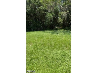 This is your opportunity to purchase a nice lot across from a - photo 6