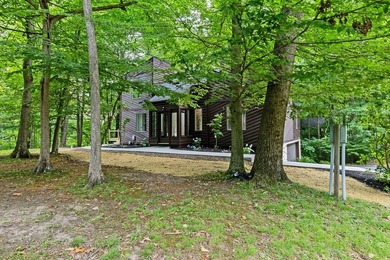 Beautifully renovated lakefront contemporary home, complete with - photo 49