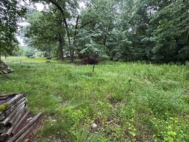 Kristine Lake Lot For Sale in Wild Rose Wisconsin