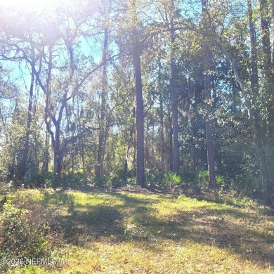 Don't miss this opportunity to get over an acre of partially - photo 4