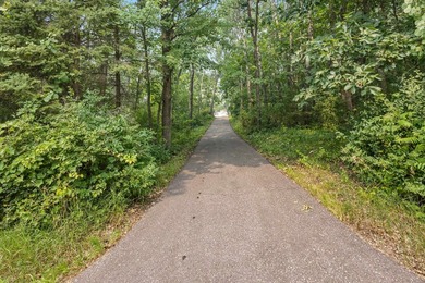 The drive in says it all! A long, tree-lined driveway leads to - photo 4