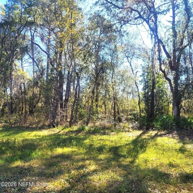 Don't miss this opportunity to get over an acre of partially - photo 5