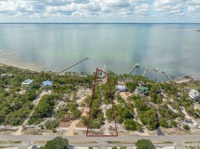 Discover the rare beauty and solitude of St. George Island's - photo 3