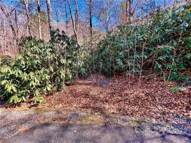 Lake Lure Lot For Sale in Hendersonville North Carolina