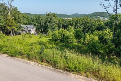 LAKE OF THE OZARKS:Nestled in the prestigious Old Kinderhook, an - photo 3
