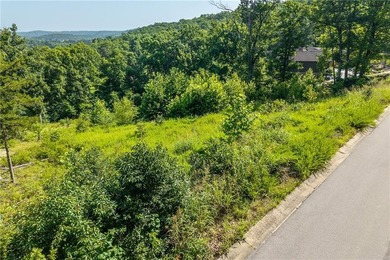 LAKE OF THE OZARKS:Nestled in the prestigious Old Kinderhook, an - photo 4