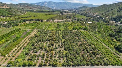 An ideal weekend getaway and rare opportunity to own over 59 - photo 29