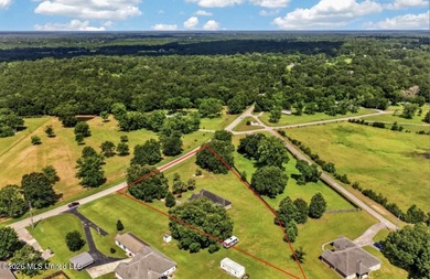 Welcome to your own slice of Mississippi Gulf Coast country - photo 30