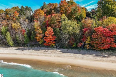 Lake Michigan - Manistee County Home For Sale in Bear Lake Michigan