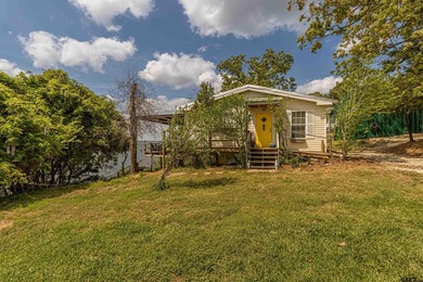Deep-Water on Lake Palestine | Shadybrook Gated Community - photo 11