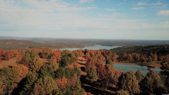 Greers Ferry Lake Acreage For Sale in Bee Branch Arkansas
