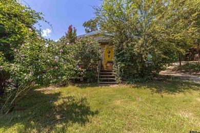 Deep-Water on Lake Palestine | Shadybrook Gated Community - photo 33