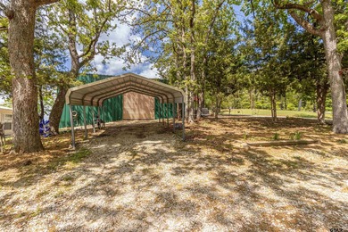 Deep-Water on Lake Palestine | Shadybrook Gated Community - photo 37