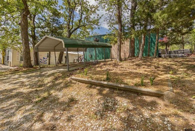 Deep-Water on Lake Palestine | Shadybrook Gated Community - photo 38
