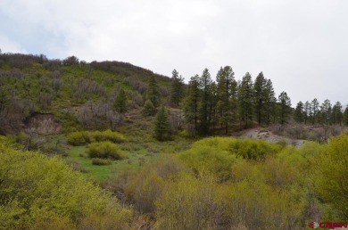 Lake Lot For Sale in Durango, Colorado