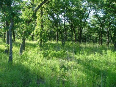 Lake Lot For Sale in Chico, Texas