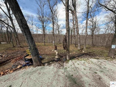 Discover your own slice of paradise with this stunning 54.9-acre - photo 18