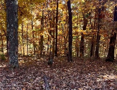 Lake Ann Lot For Sale in Bella Vista Arkansas