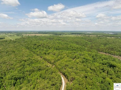 Discover your own slice of paradise with this stunning 54.9-acre - photo 25