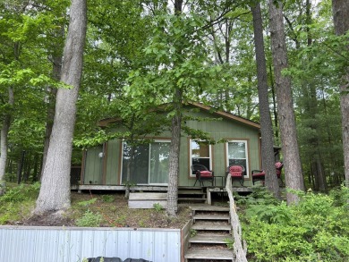 Lake Home Sale Pending in Irons, Michigan