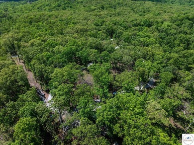 Discover your own slice of paradise with this stunning 54.9-acre - photo 32