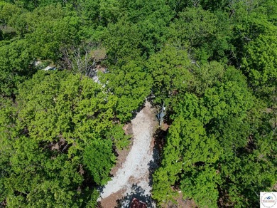 Discover your own slice of paradise with this stunning 54.9-acre - photo 33